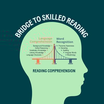 bridge to skilled reading