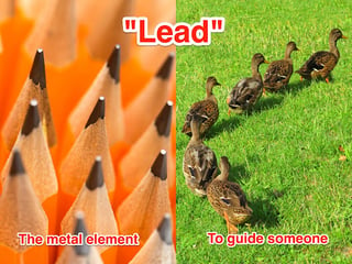 lead-example