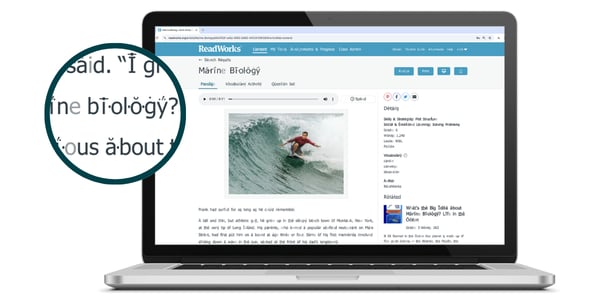 markup image