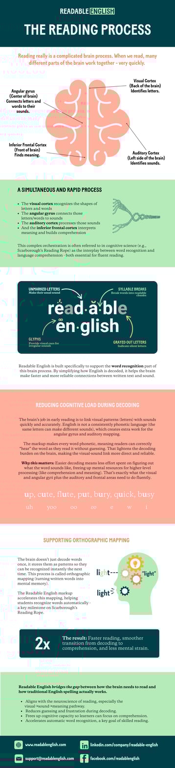 the-reading-process-infographic-readable-english