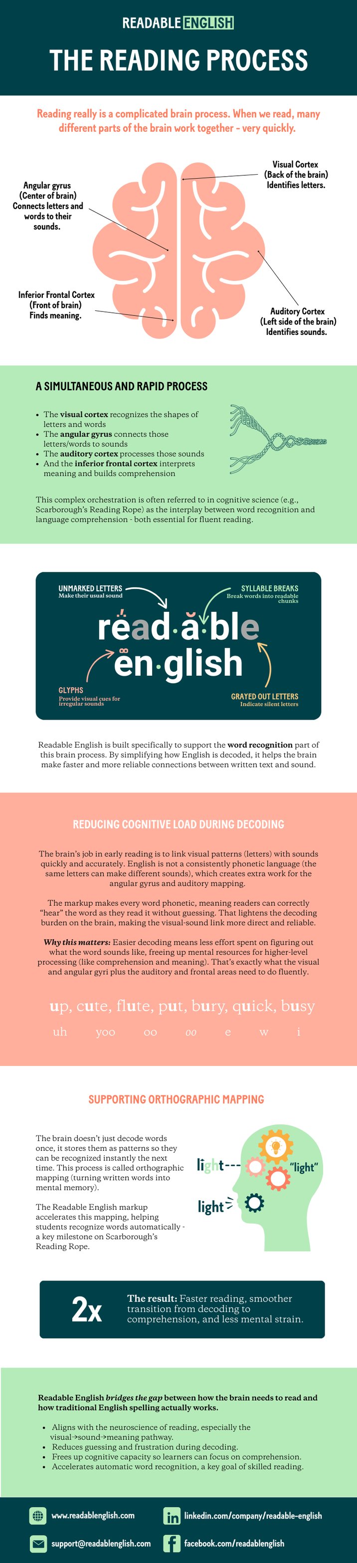 The Neuroscience of Reading: How to Reduce Cognitive Load and Improve ...